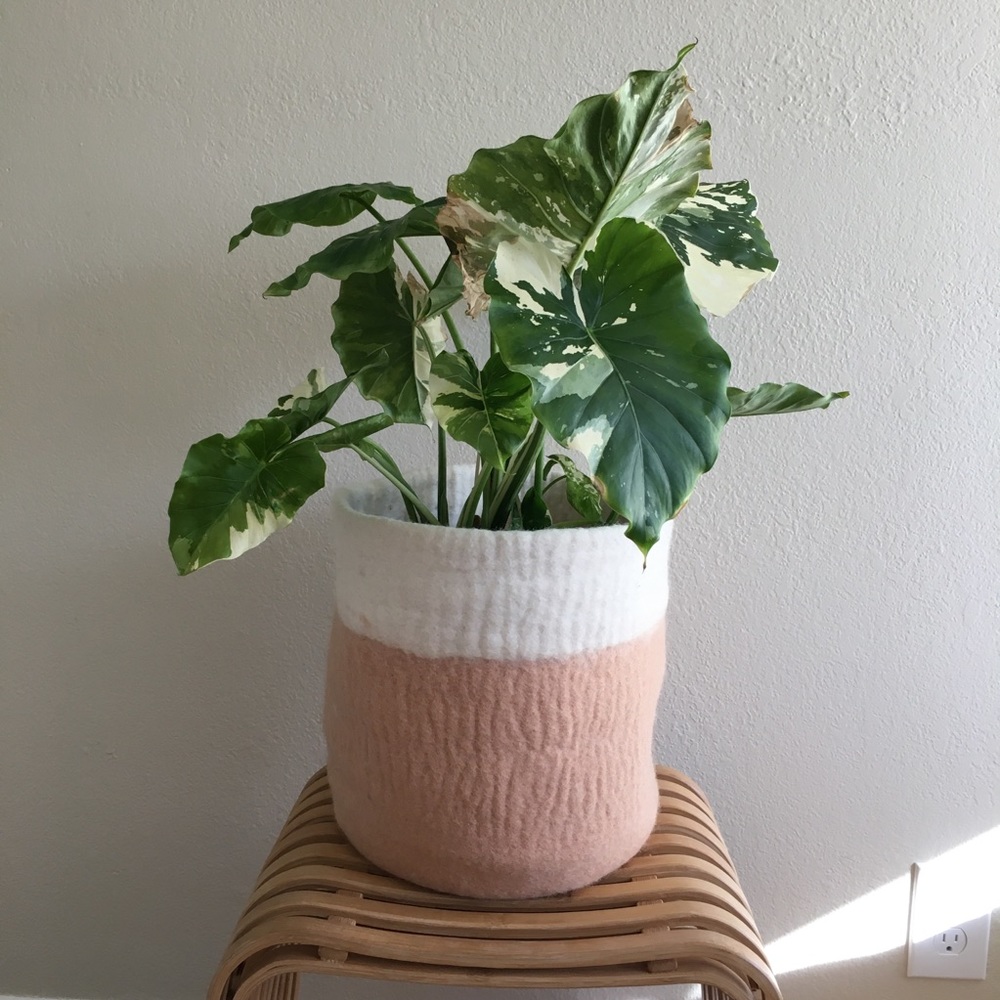 Love Fest Fibers 100% Felted Wool Basket